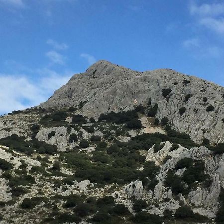 La Casita De Piedra Βίλα Villanueva del Rosario Εξωτερικό φωτογραφία