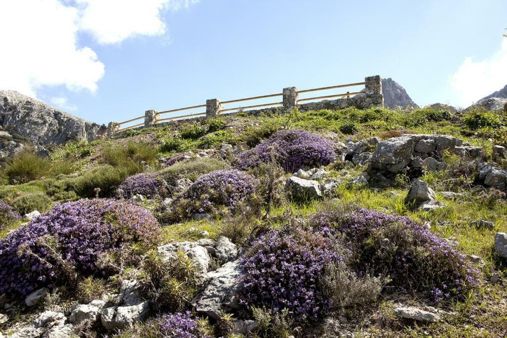 La Casita De Piedra Βίλα Villanueva del Rosario Εξωτερικό φωτογραφία
